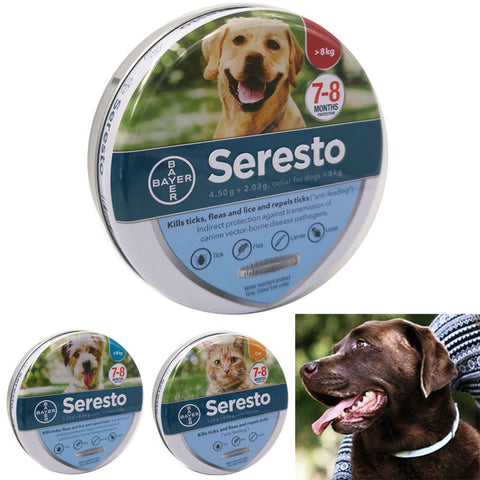 Pet collar