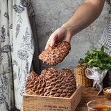 Wooden Cookie Mold -  Pine Cone